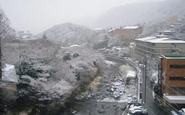 Hakone Pax Yoshino