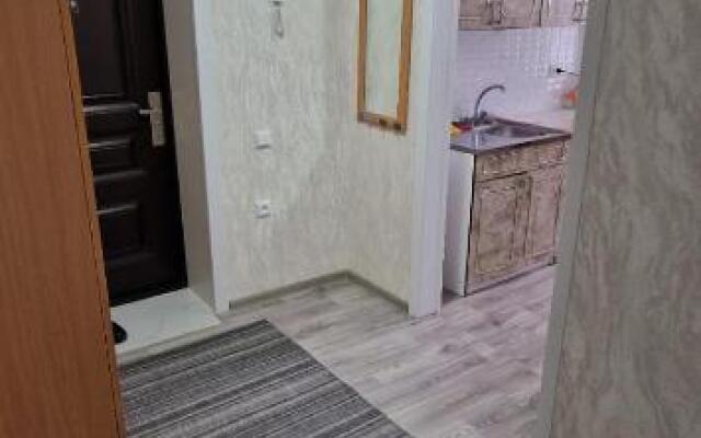 Свежая 2х комнатная квартира Центральный 47