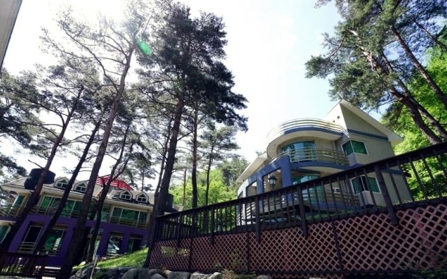 Royaltree Pension