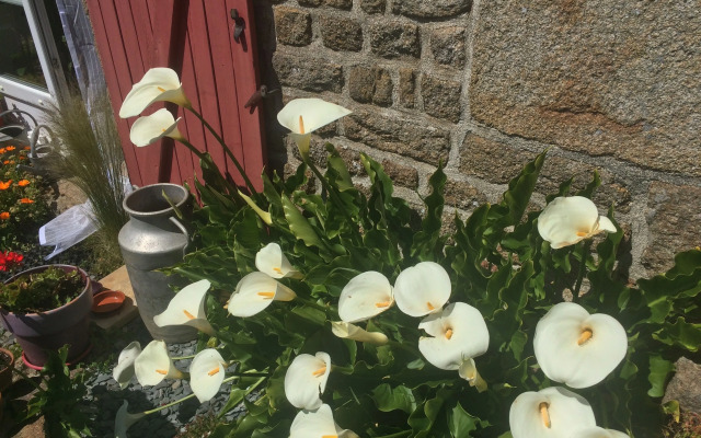 l'Angeviniere, maison d'hotes