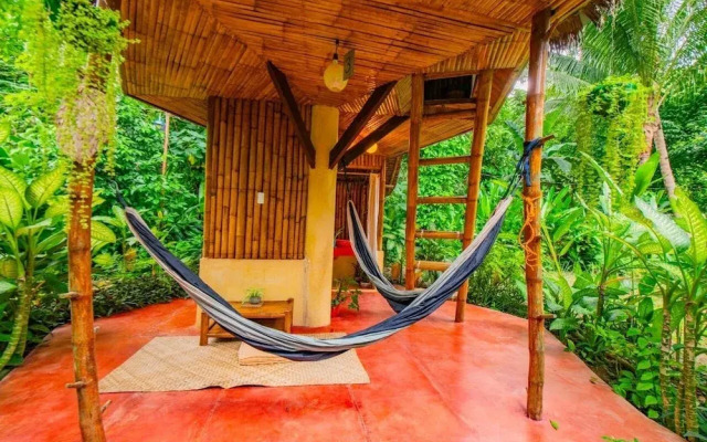 Water To Forest Ecolodge