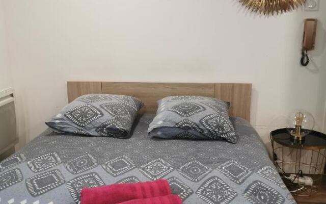 Green Cellar Logement neuf au Centre de Strasbourg
