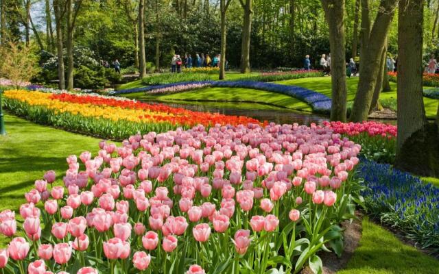 Tulip Inn Leiden Centre