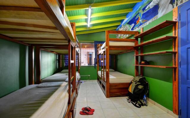 The Wandering Paisa Hostel Adults Only