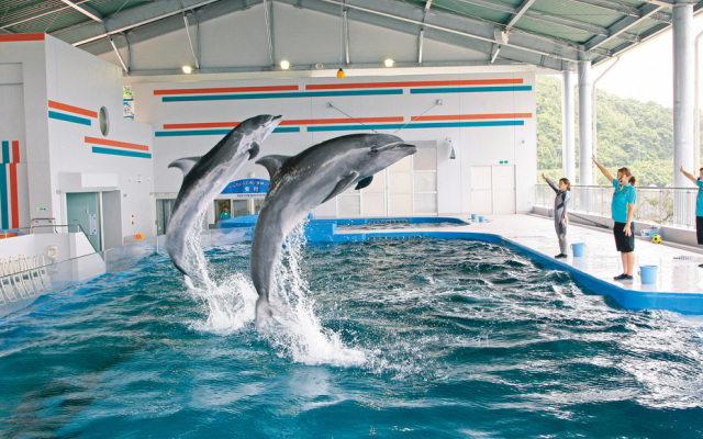 Daikoku Resort Hotel