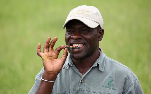 Plains Camp @ Rhino Walking Safaris