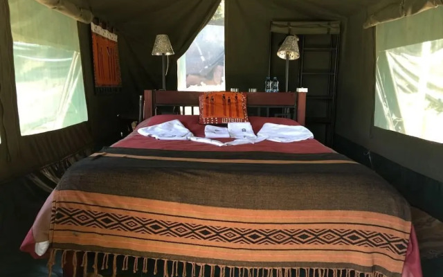 The Nubian in the Mara