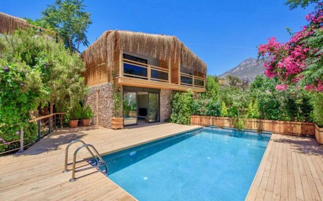 Kalkan Andriake