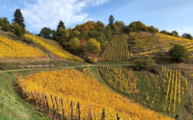 Le Gîte du Sommerberg