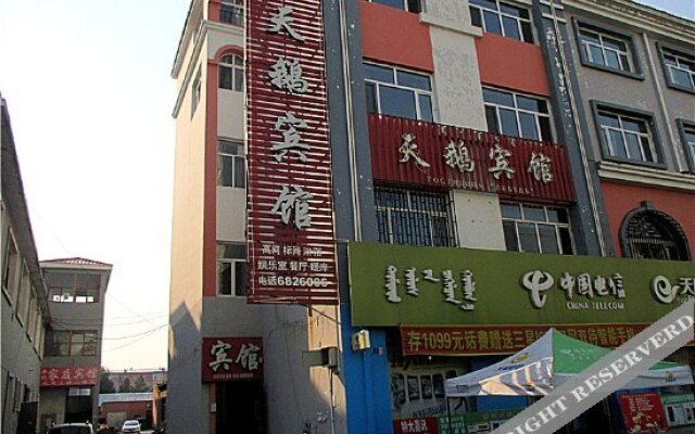 Tiane Guest House
