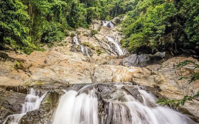 Tree of Life - Hostel