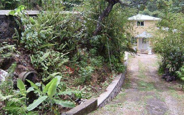 Ocho Rios Skyview Guest Apartment