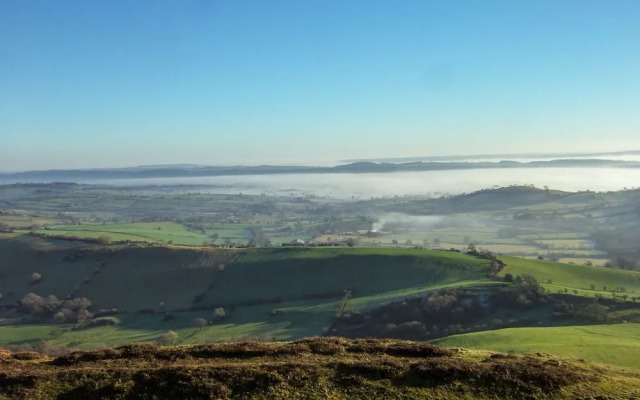 Southdown