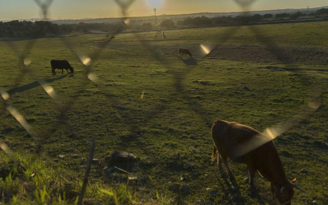 Casa Rural Las Eras de MonfragÃ¼e