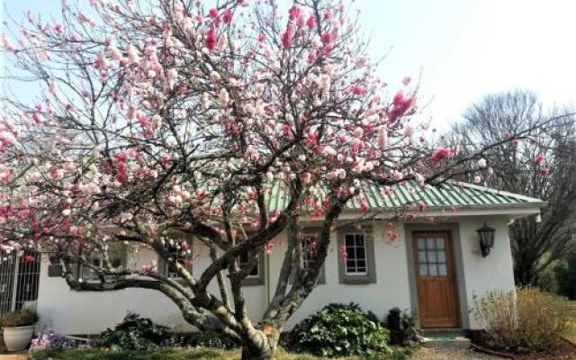 Sani Window B&B and Self catering