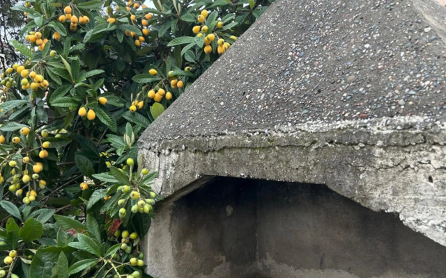 Lovely two bedroom little house