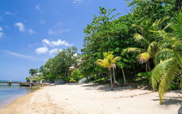 Lawson Rock Seahorse 104