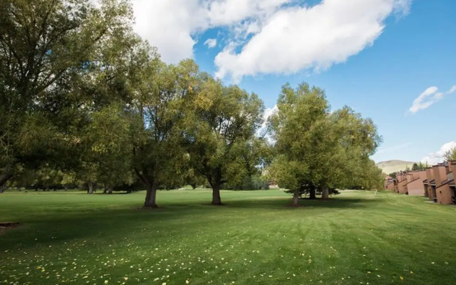 Park Avenue 3 Bedroom Condominiums