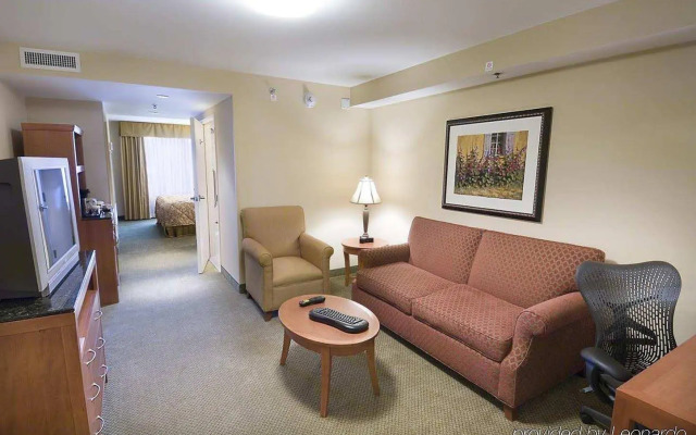 Hilton Garden Inn Houston/Galleria Area