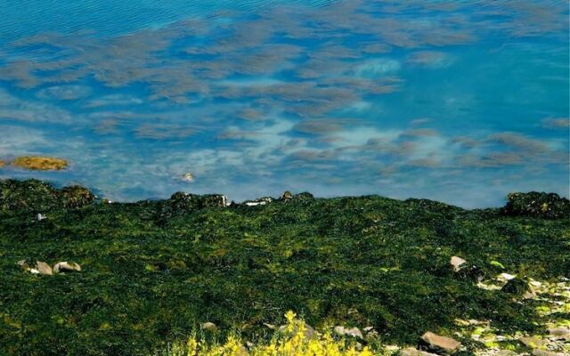 Le Logis Du Roc - Gîte