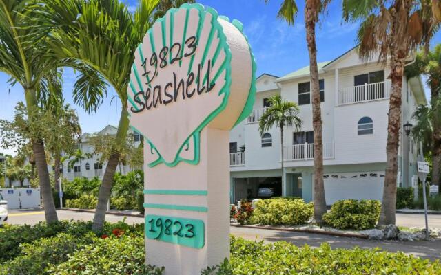 Sea Shell 24