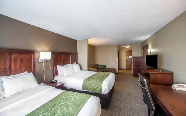 Comfort Suites Columbia - University Area