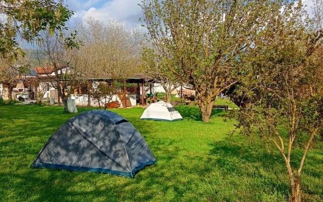 Ya Basta Camping