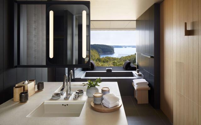 Amanemu