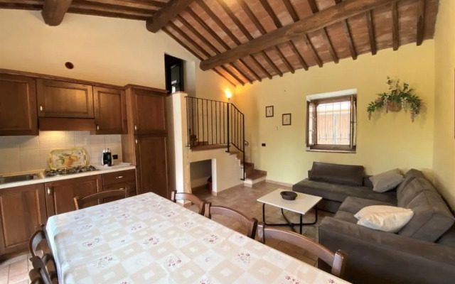 House Stregaia Volterra 30444