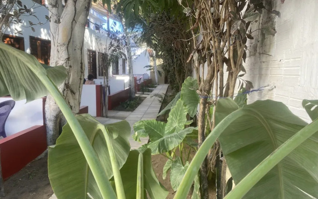 MyM Jericoacoara