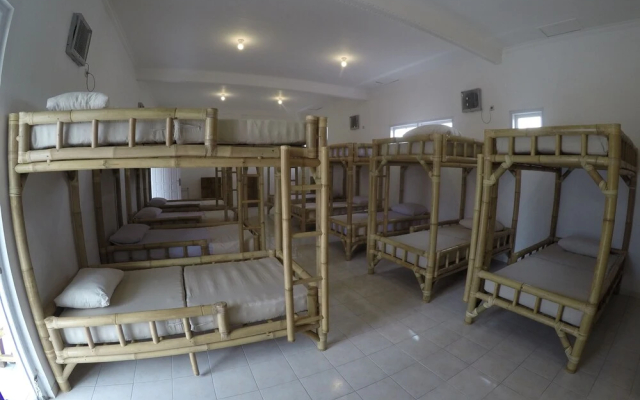 Palmyra Hostel