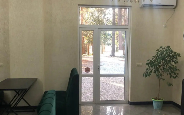 Эльбрус (Сухум)