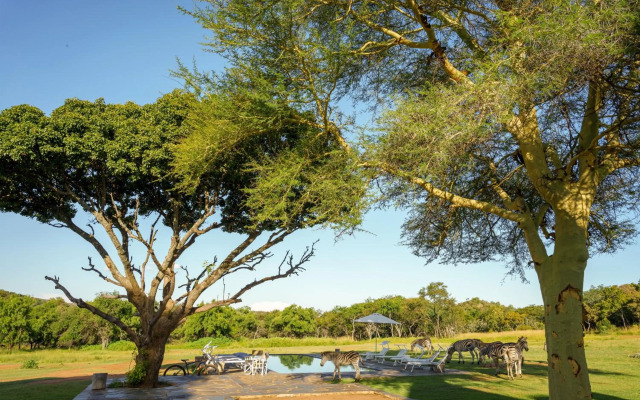 Zebras Crossing Lodge