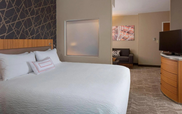 SpringHill Suites by Marriott St. Louis Airport/Earth City