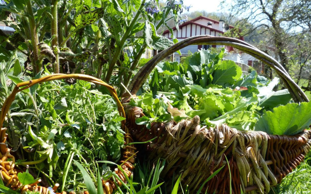 Logis Hotel Xoko-Goxoa