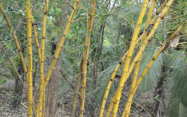 Sigiri Safari Homestay