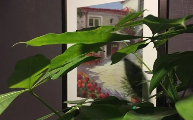 Shankee Hotel (Xujing North City)