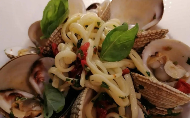 Apartment Mirna - what you see is what you get