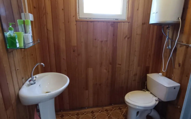 Камень Льва