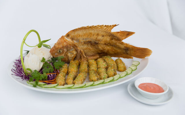 Thanh Tan Hot Springs By Fusion