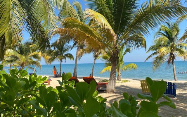 Coconut Row