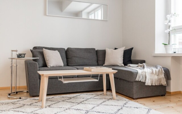 Scandinavian Apartments in City Center