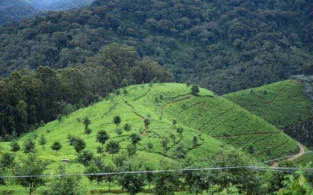 Nyungwe Eco Village
