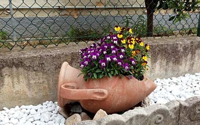 Alfi Beb (Adults Only)