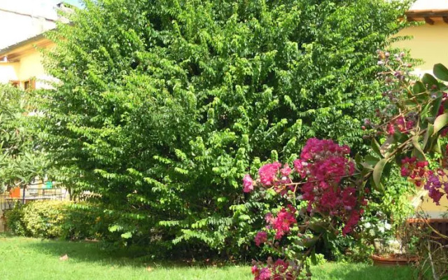 Casa Antonella Petit Relais