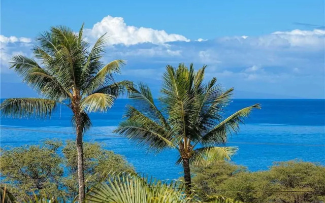 Maui Kamaole D-211 - 2 Br Condo