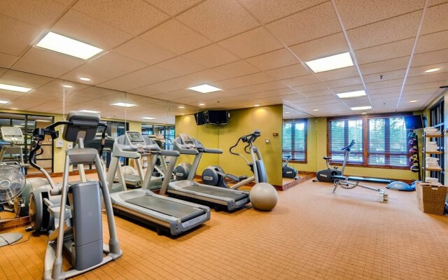 Luxury 2 Bedroom Ski in, Ski Out Mountain Vacation Rental Just Steps from the Snowflake Ski Lift in Breckenridge