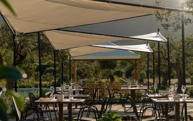 Locanda Della Meridiana - Olivo