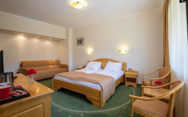 Hotel Casa Viorel