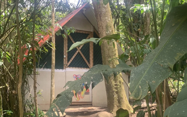 Costa Rica Glamping - фото 2